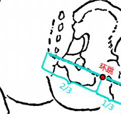 Bsport体育：不花一分钱的保健按摩养生之法不妨试试看(图4)